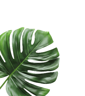 l-leaf