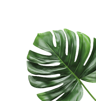 r-leaf